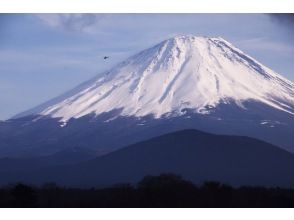 Treeside aerial walk and Fuji Five Lakes sightseeing flight