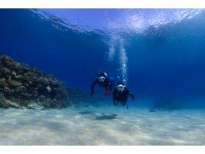 Underwater commemorative photo shoot