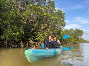 Into the depths of the mangroves