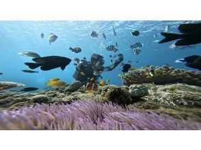 4. 在體驗過程中