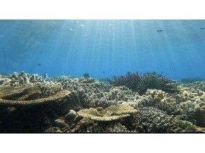 5. 在體驗過程中