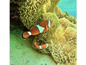 A popular figure at sea!