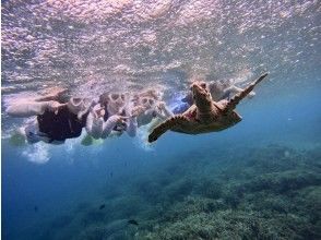 A long-awaited encounter with a sea turtle!!