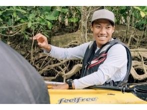 マングローブの環境についてご紹介