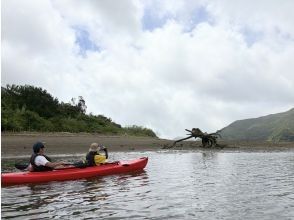 再びカヌーを漕ぐ