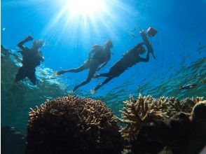 透明度抜群の海でシュノーケル