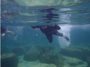 Mini snorkeling during the tour