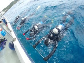 Let's go see the anemone fish!