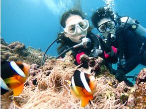 Experience diving finished ♪ Break at the port