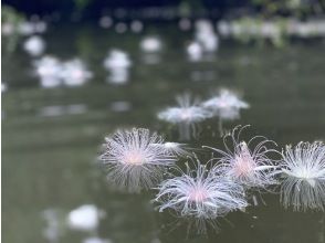 天气好的话，头顶上有无数的星空！