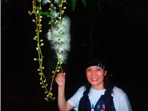 Admire the hanging flowers!