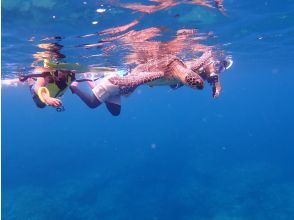 Snorkeling to find sea turtles