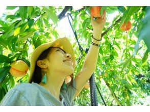 ももの農園到着、もも狩りスタート