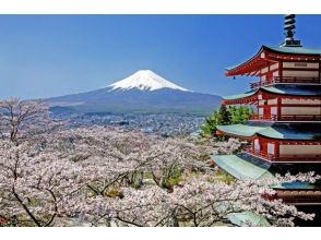 新倉山浅間公園（五合目までは行かない）