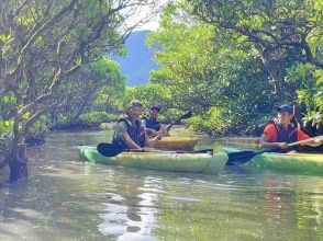 Mangroves are beautiful!