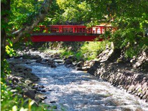 <Day 2> Shuzenji Onsen Town 60 minutes