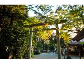 天岩戸神社＆天安河原