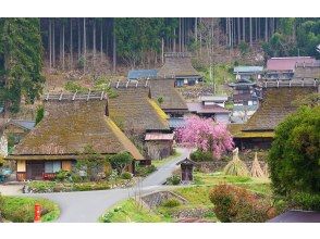 Miyama Thatched Village