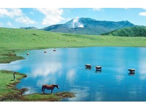 Mount Aso has thousands of miles of grass.