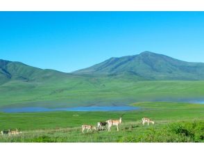 Mount Aso has thousands of miles of grass.