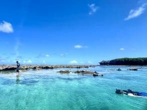 海からも陸からも観察できる