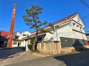 Sake brewery tour