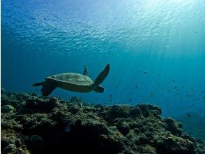 ツアー終了&竹富島乗船チケットお渡し【10:50/12:50/14:50/16/50】※現地集合の方