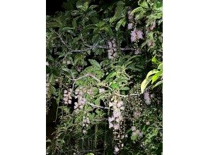 호텔로의 송영 시간 ※7~8월의 경우