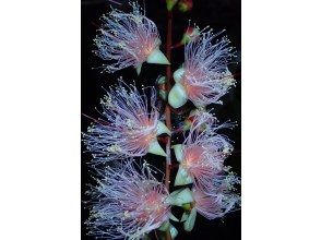 현지 집합의 분의 시간※7~8월의 경우