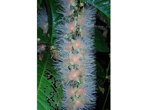 필드 도착! ※7~8월의 경우