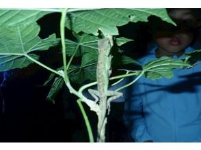 투어 개시! ※7~8월의 경우