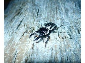 現地集合の方解散