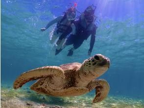 Snorkel experience