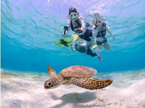 夢のウミガメとご対面！！最高の写真を撮影！