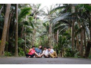 Arriving at the Yaeyama palm forest