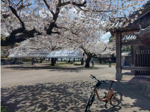 膳所城址公園