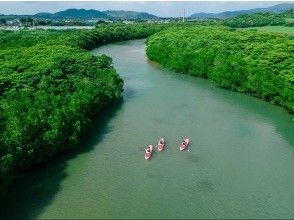 A great adventure in the world of mangroves!