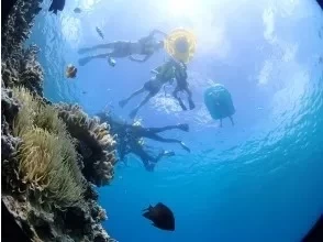 きれいな水中を満喫しましょう