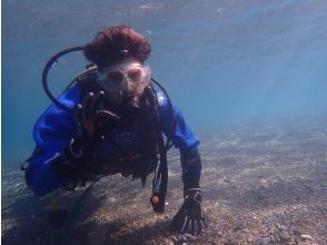 Let's go diving!!