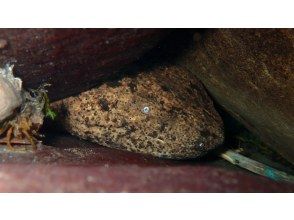 ダイビング終了＆出発