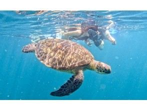 青の洞窟ウミガメシュノーケル開始!