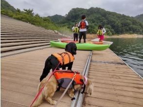 飼い主様は準備体操と陸上講習