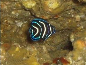 首先,在一个浅薄的地方