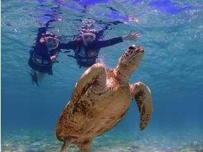 Snorkeling Experience ①