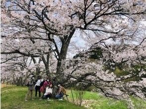 桜の名所へご案内