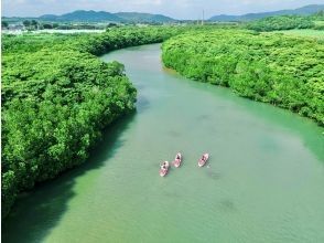 A great adventure in the world of mangroves!