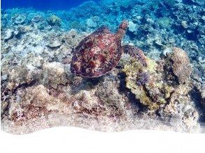 池間島の港に集合