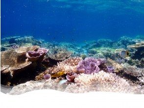 八重干瀬へ出発！