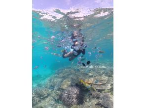 シュノーケリング瀬底島の美しい珊瑚礁を満喫