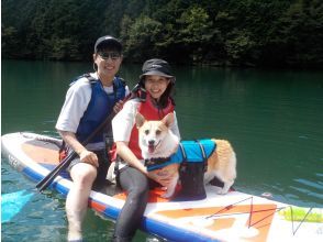 ประสบการณ์ SUP กับสุนัขของคุณ